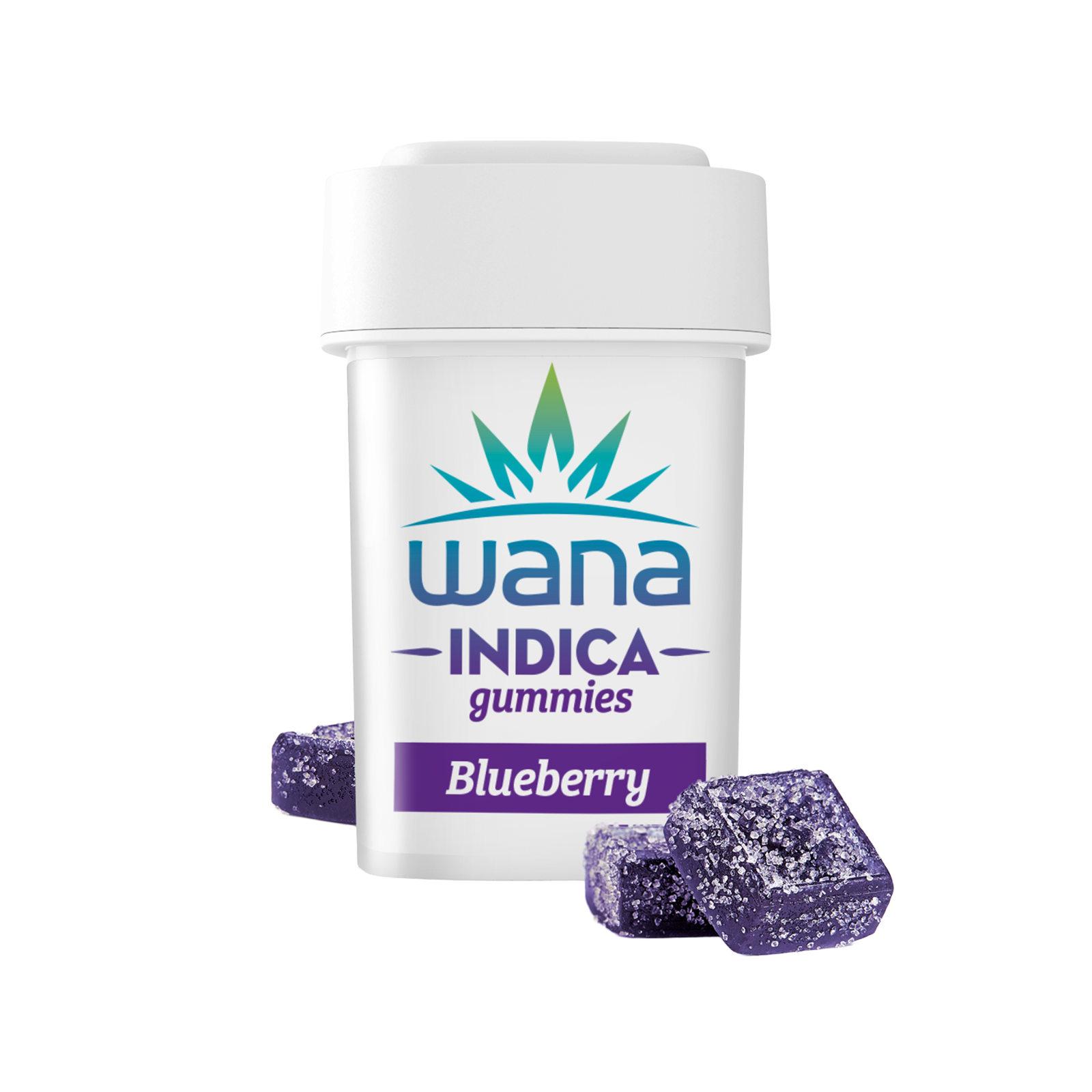 Blueberry