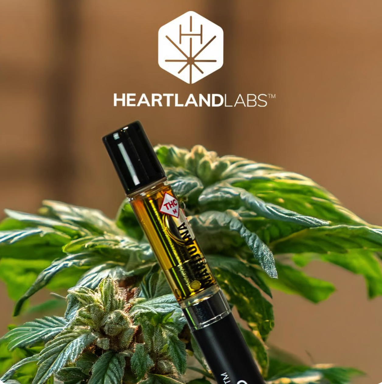 Blueberry Kush Distillate Cart