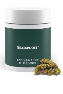 Tropicana Banana (H) 3.5g