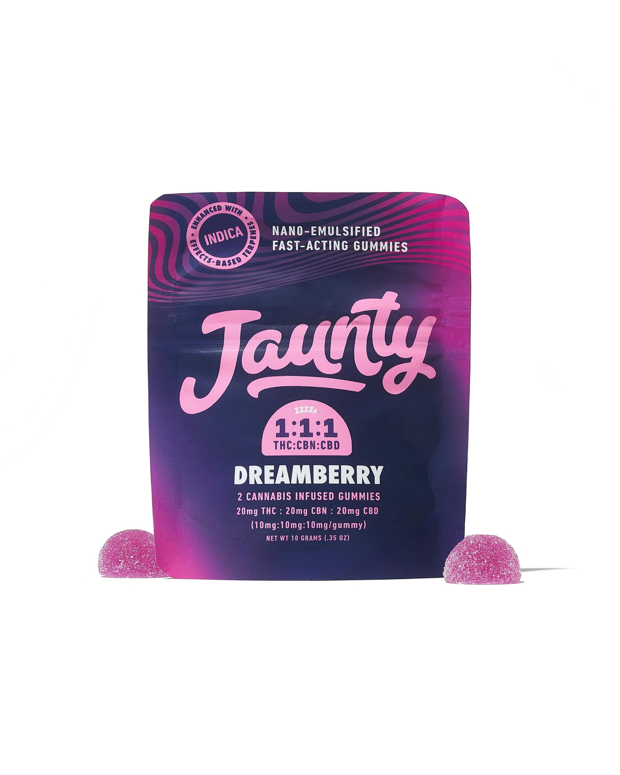 Dreamberry Gummies | 1:1 THC:CBN | 20mg | 2pk
