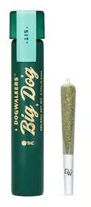 Dogwalkers Big Dog | Taffy Twist (Indica)