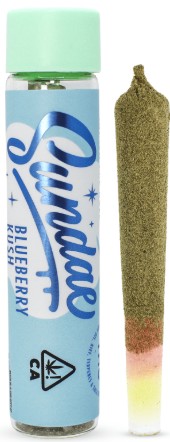 Blueberry Kush [I] - Infused XL Preroll