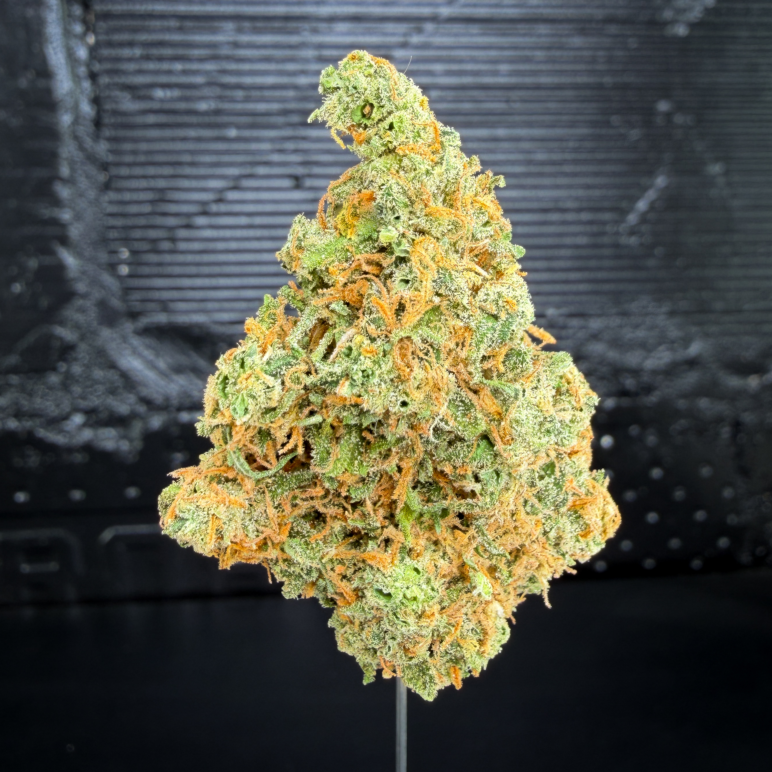 Golden Pineapple