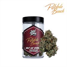 SEED JUNKY: Pebble Beach - Prepack