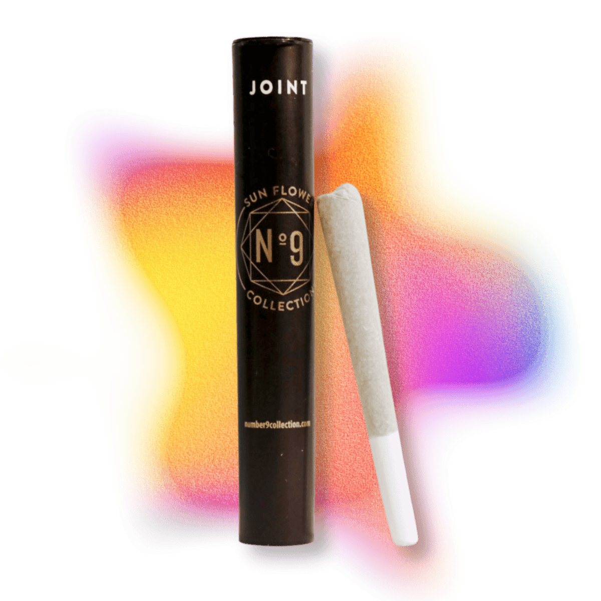 Dream Queen | Pre Roll