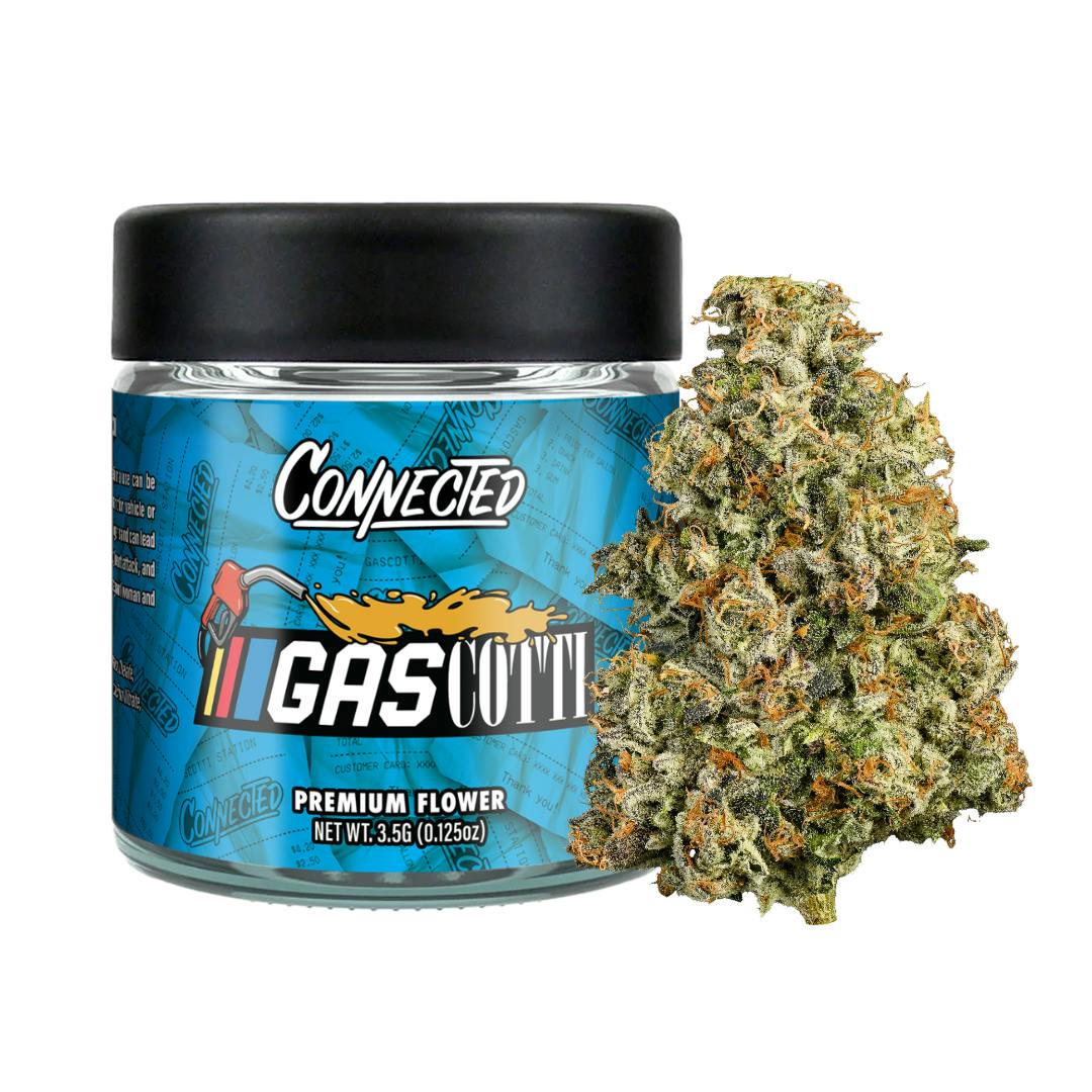 Gascotti [H] - Prepack
