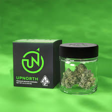 UpNorth: Granddaddy Purp