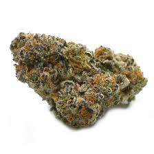 Glorious Hotlanta Flower
