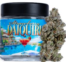 Strawberry Daquiri [H] - Flower