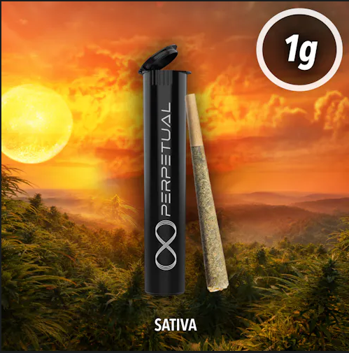 Mango Burst | 1G Preroll (TAX INCLUDED)
