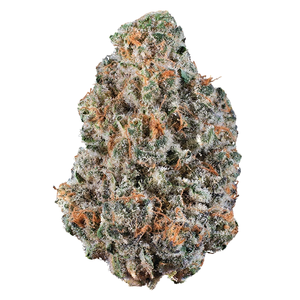 Frozen Gelato