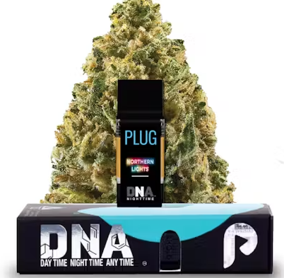 Plug and Play Northern Lights