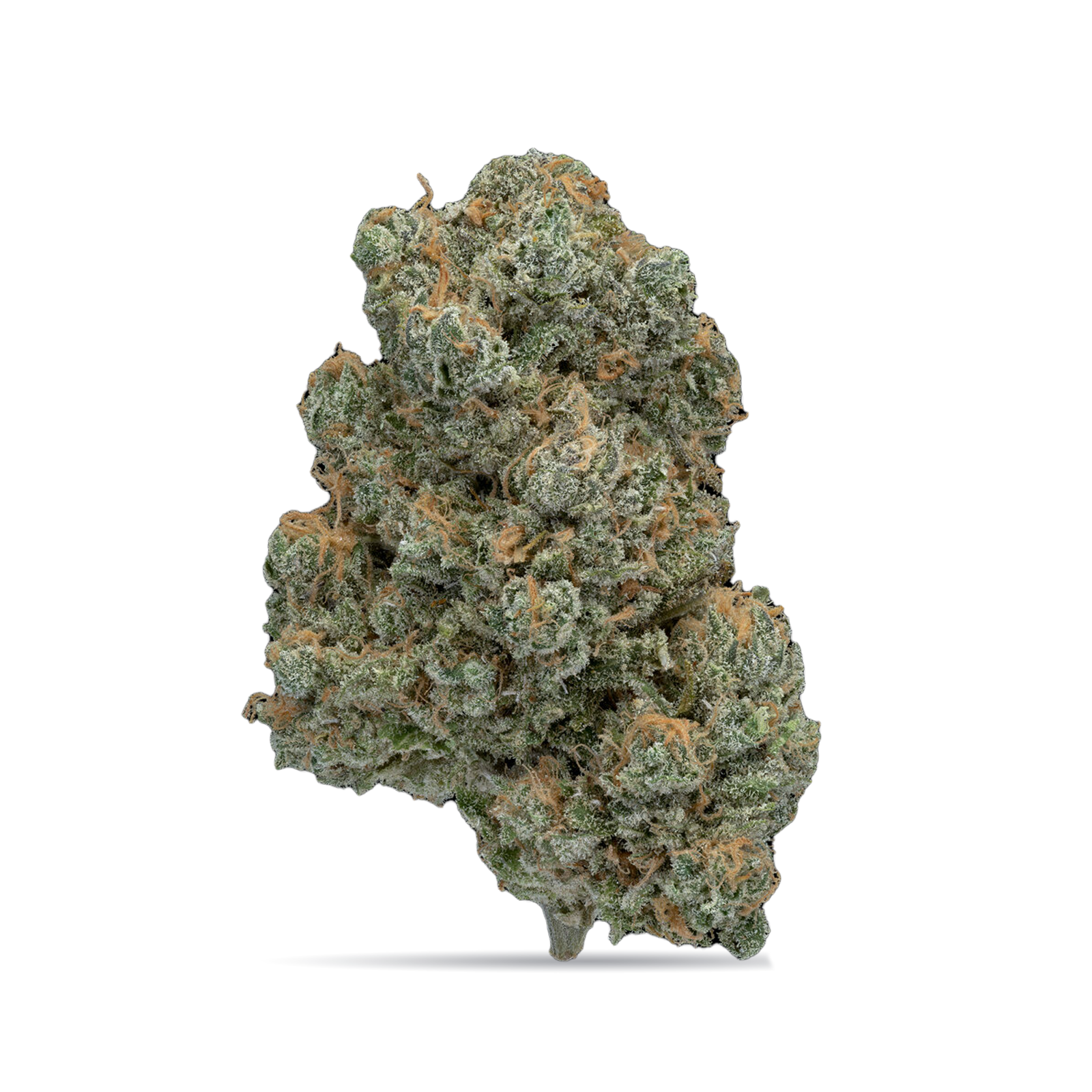 Oregon Roots: Blue Dream