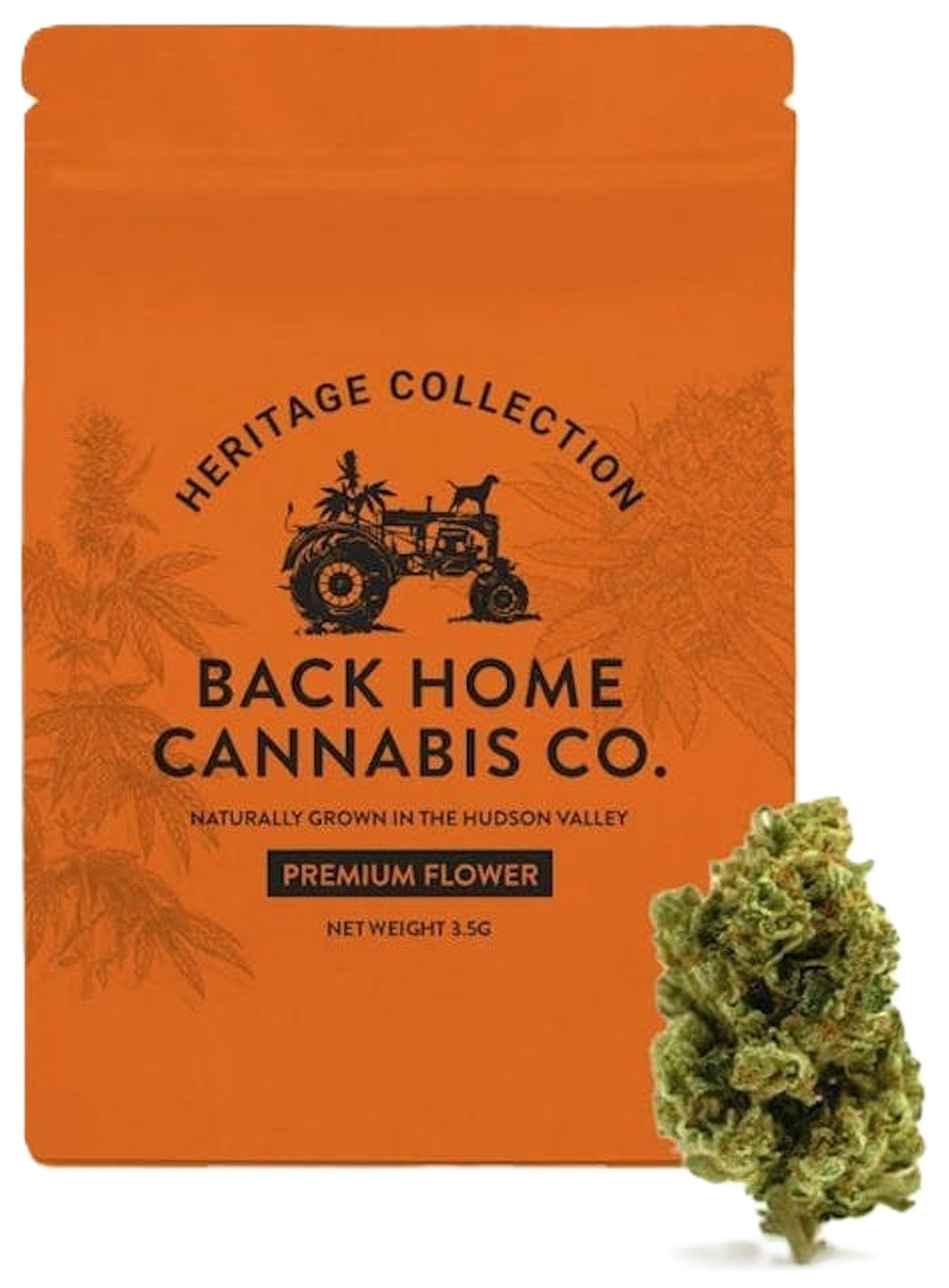 Acapulco Gold | Premium Flower | Sativa | 3.5g