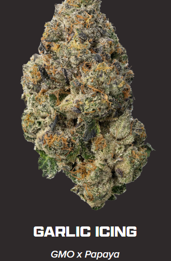 binske | Garlic Icing 3.