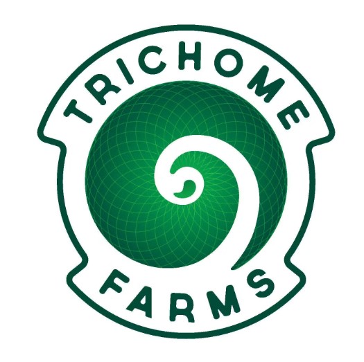 Black Dolphin - Trichome Farms - Gold