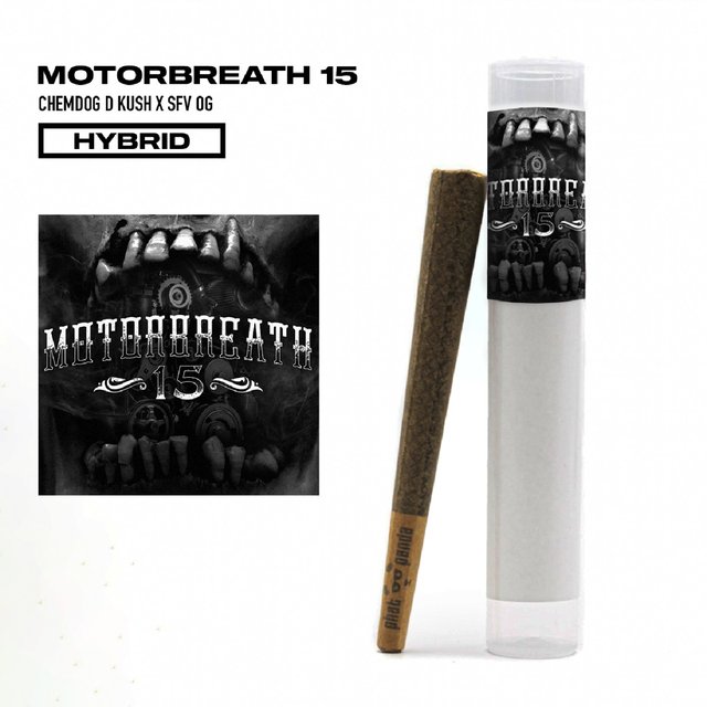 Motorbreath #15 1g Preroll Phat Panda