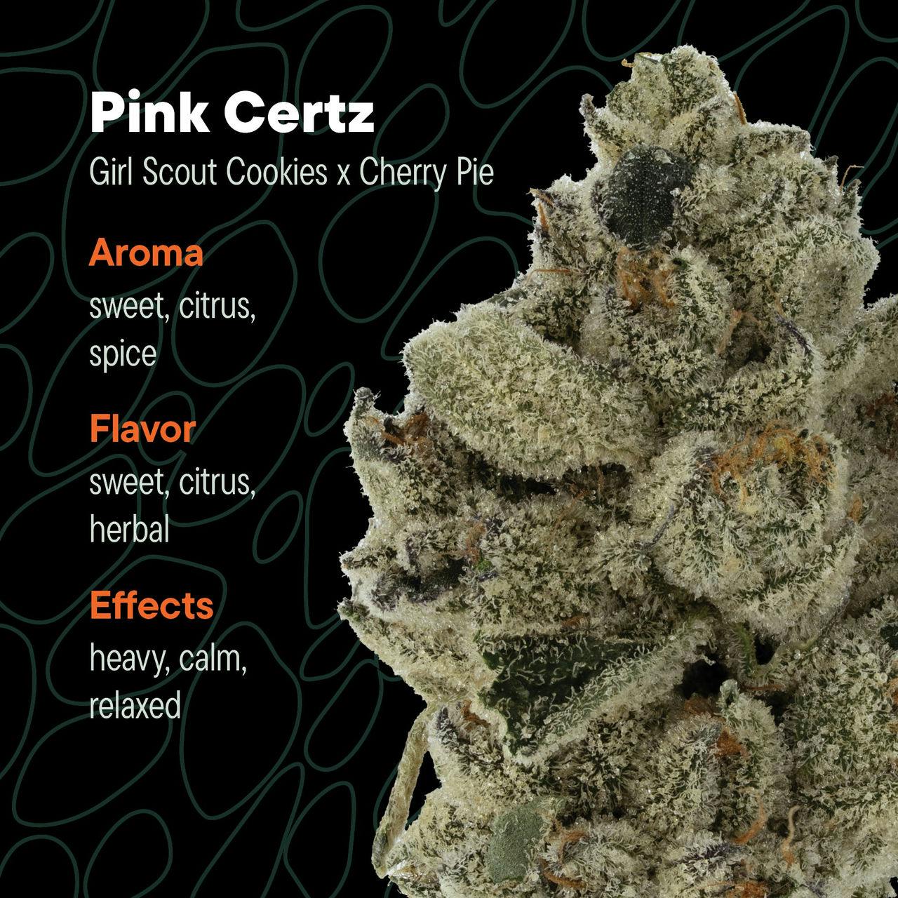 Pink Certz - - Cultivar Collection House Packed