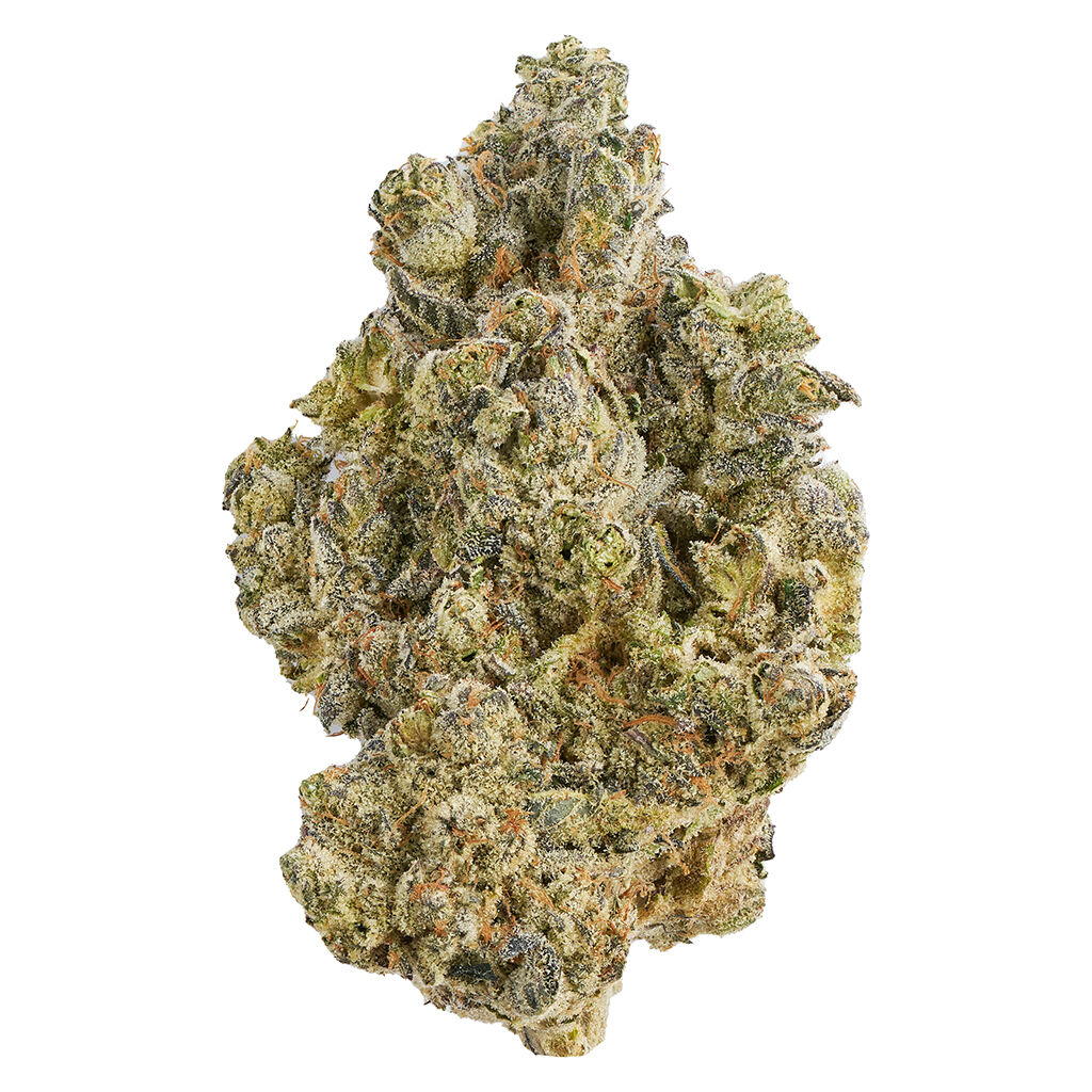 Broken Coast - La Bomba (Jet Fuel Gelato x Wedding Cake) - Hybrid
