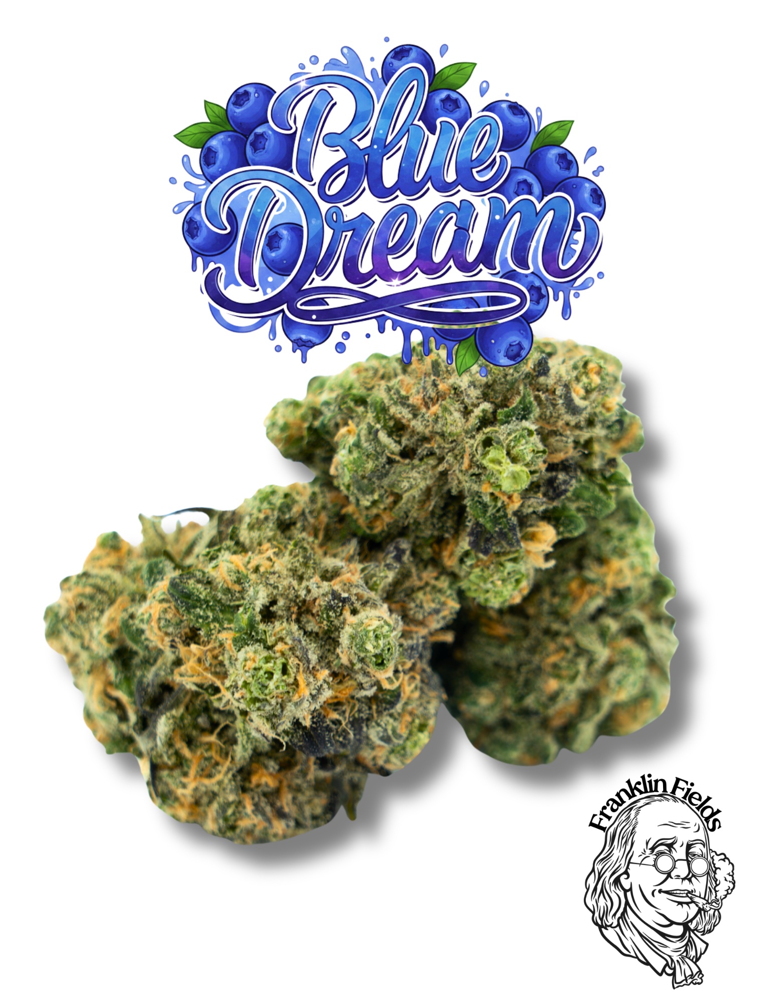 FRANKLIN FIELDS | BULK FLOWER | BLUE DREAM