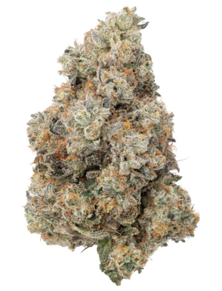 Fresh | A1 Stank Sauce | 3.5g