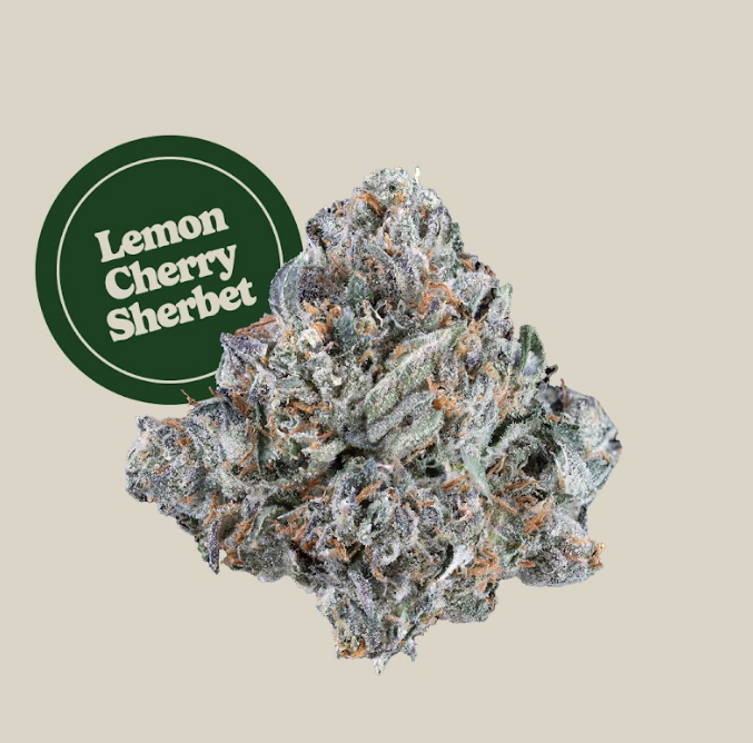 Lemon Cherry Sherbert | Flower | 3.5g