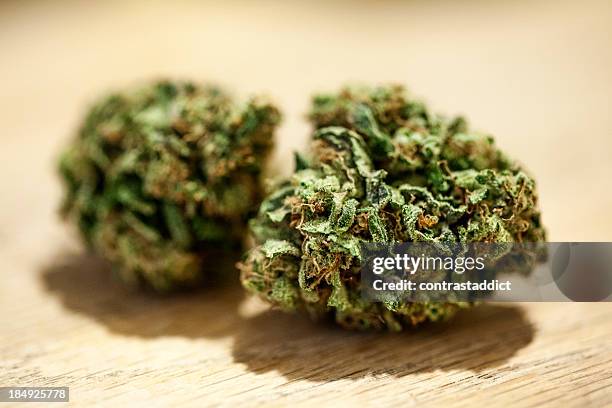 TS CC Grapefruit Durban