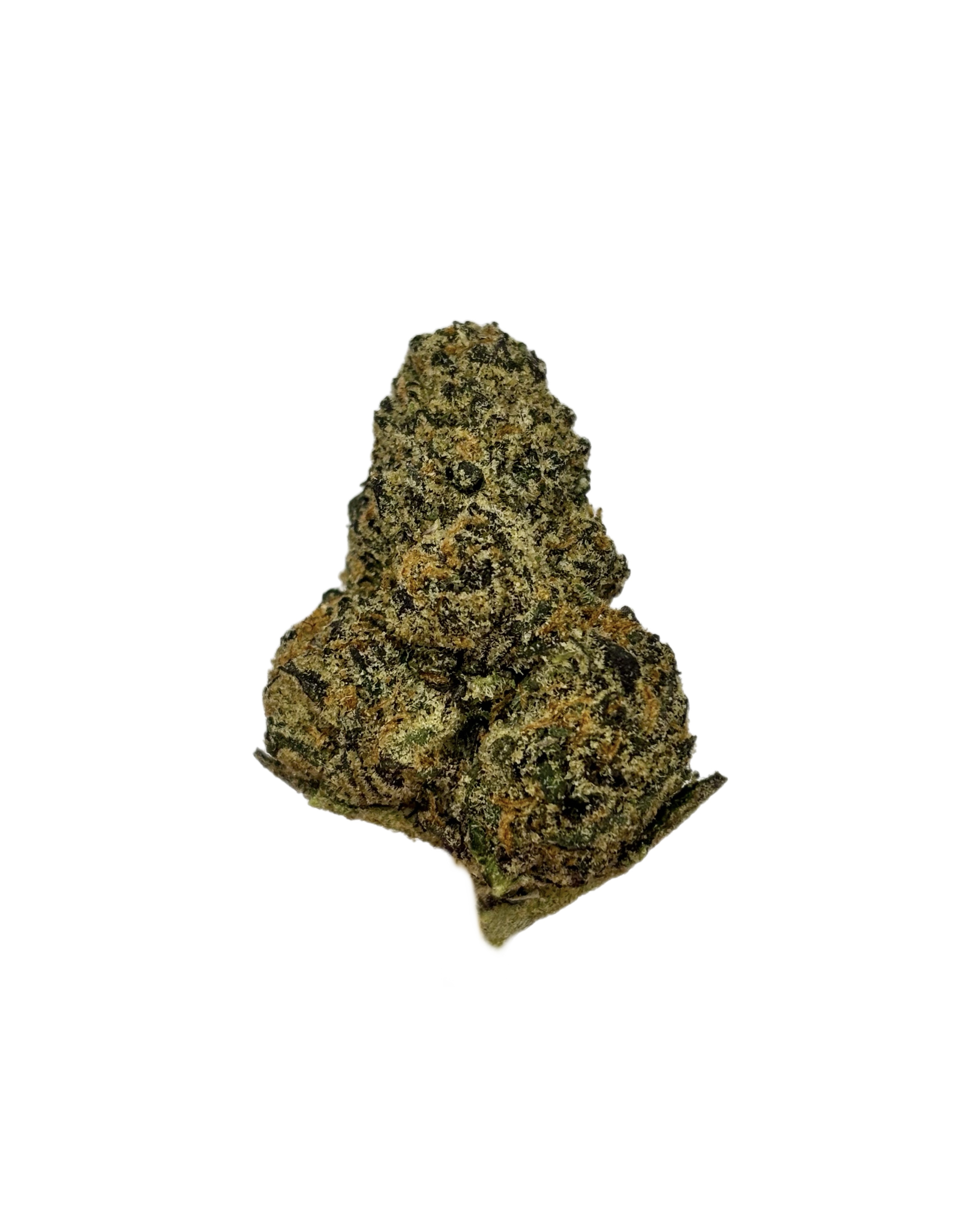Cherry GMO | Bulk Flower | Yellow Tier