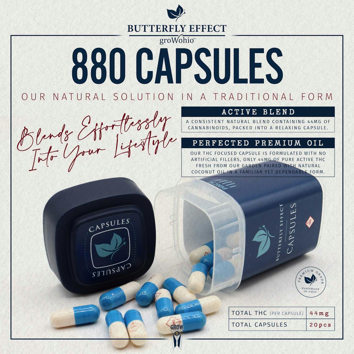Hybrid Capsule/Pill/Tablet Edible