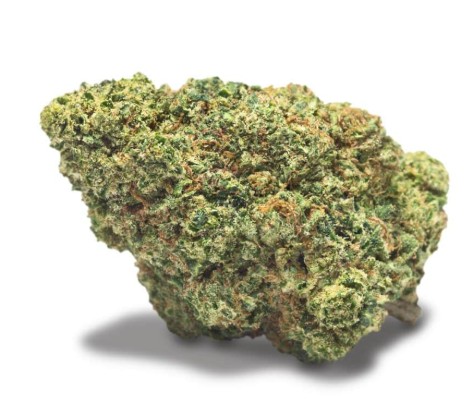 Chocolope x Kush