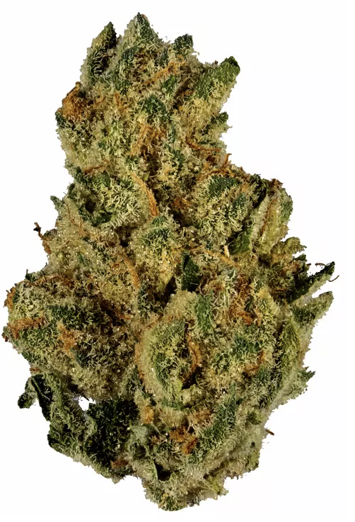 Grease Monkey |  Flower |