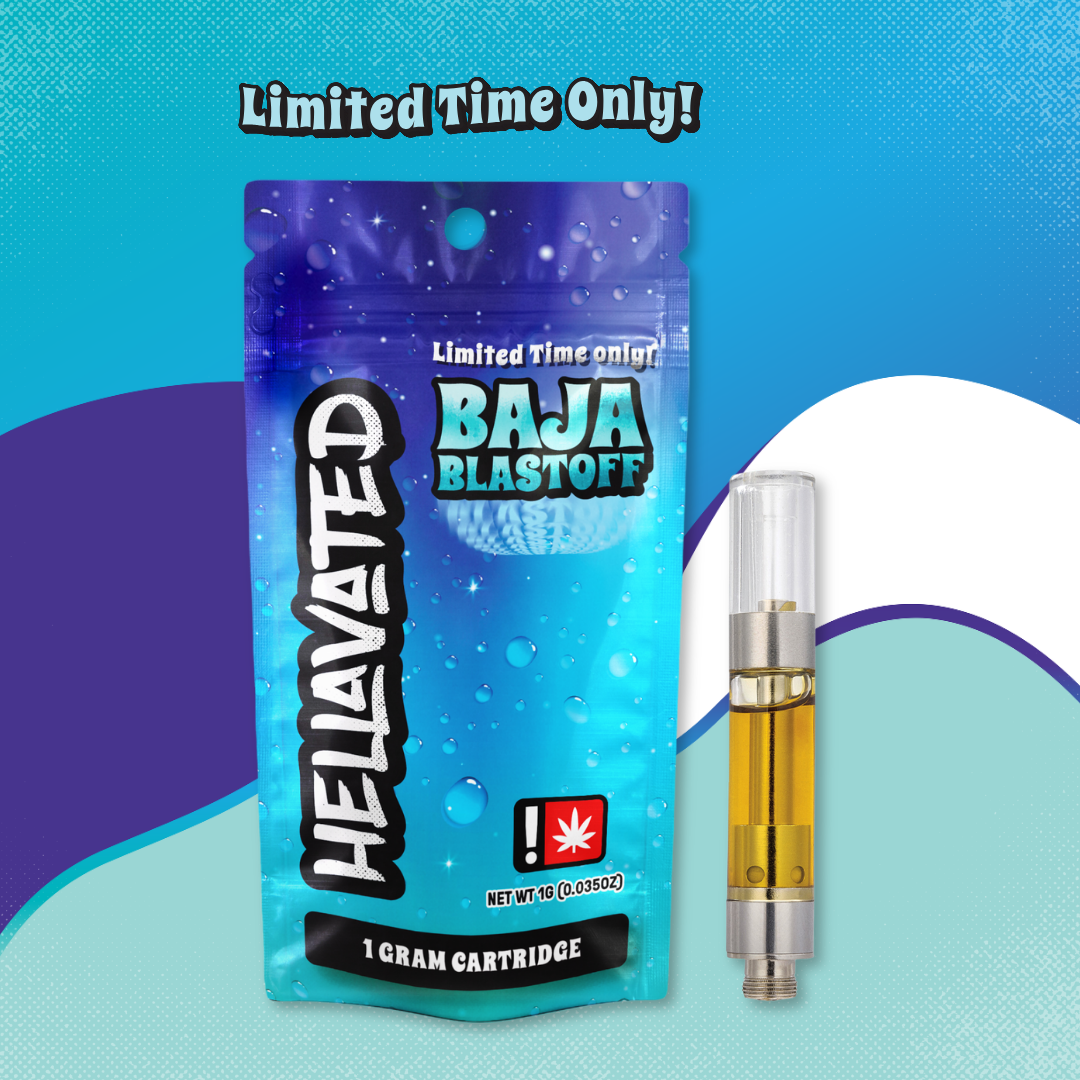 Baja Blastoff