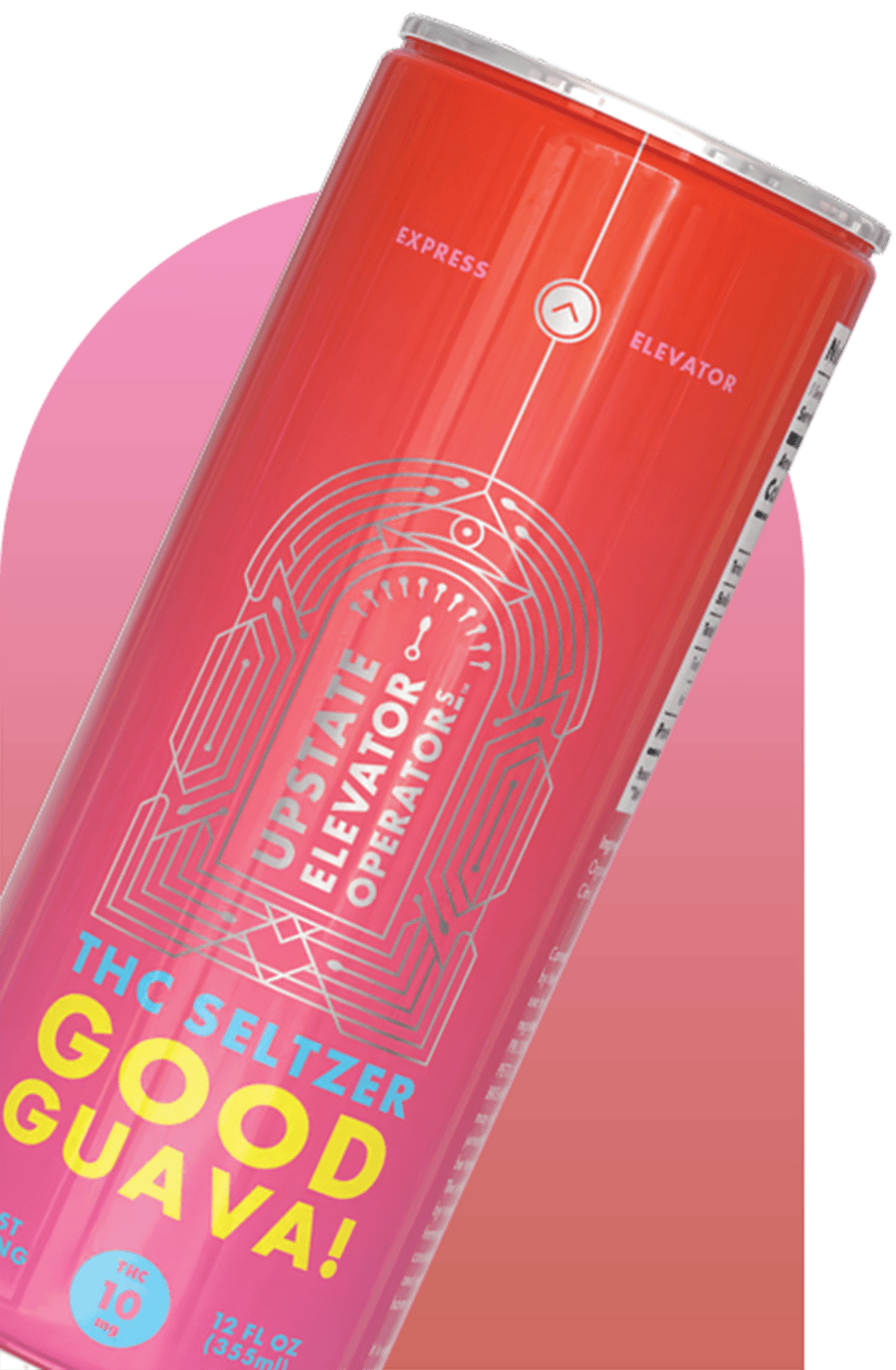 Good Guava - 10mg THC Seltzer - Upstate Elevator