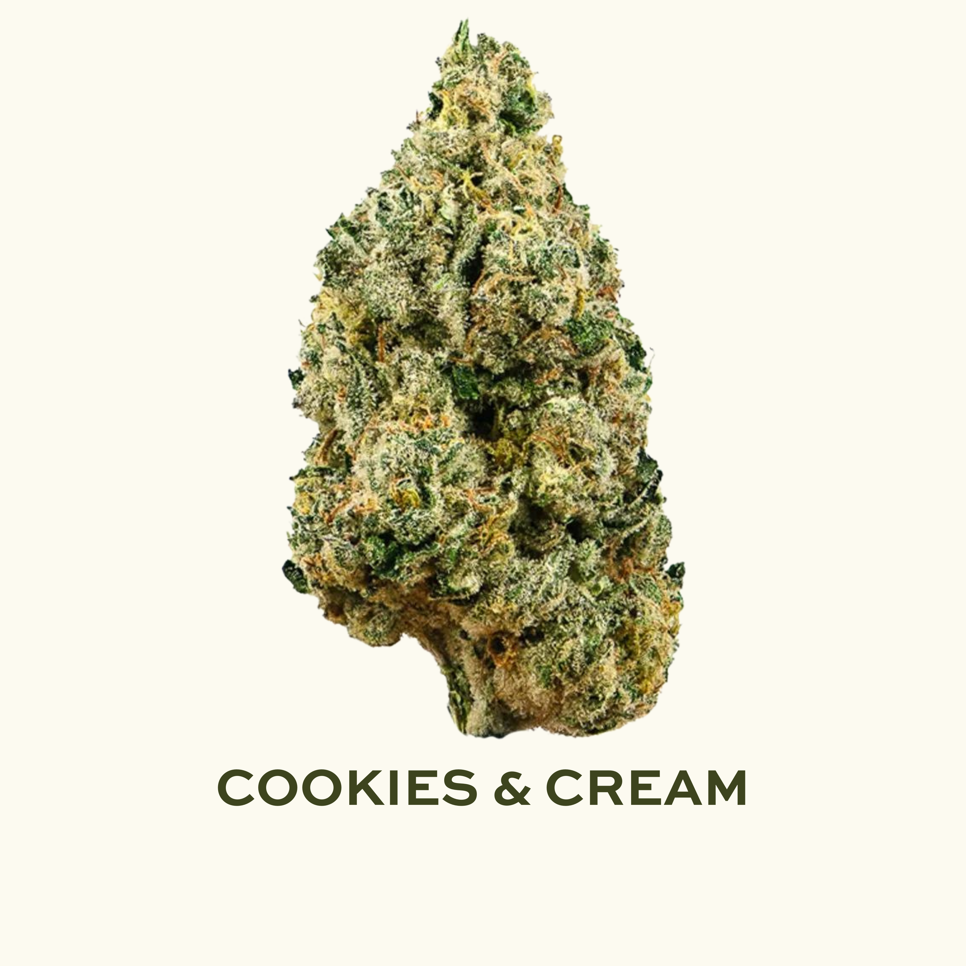 STX - Cookies & Cream