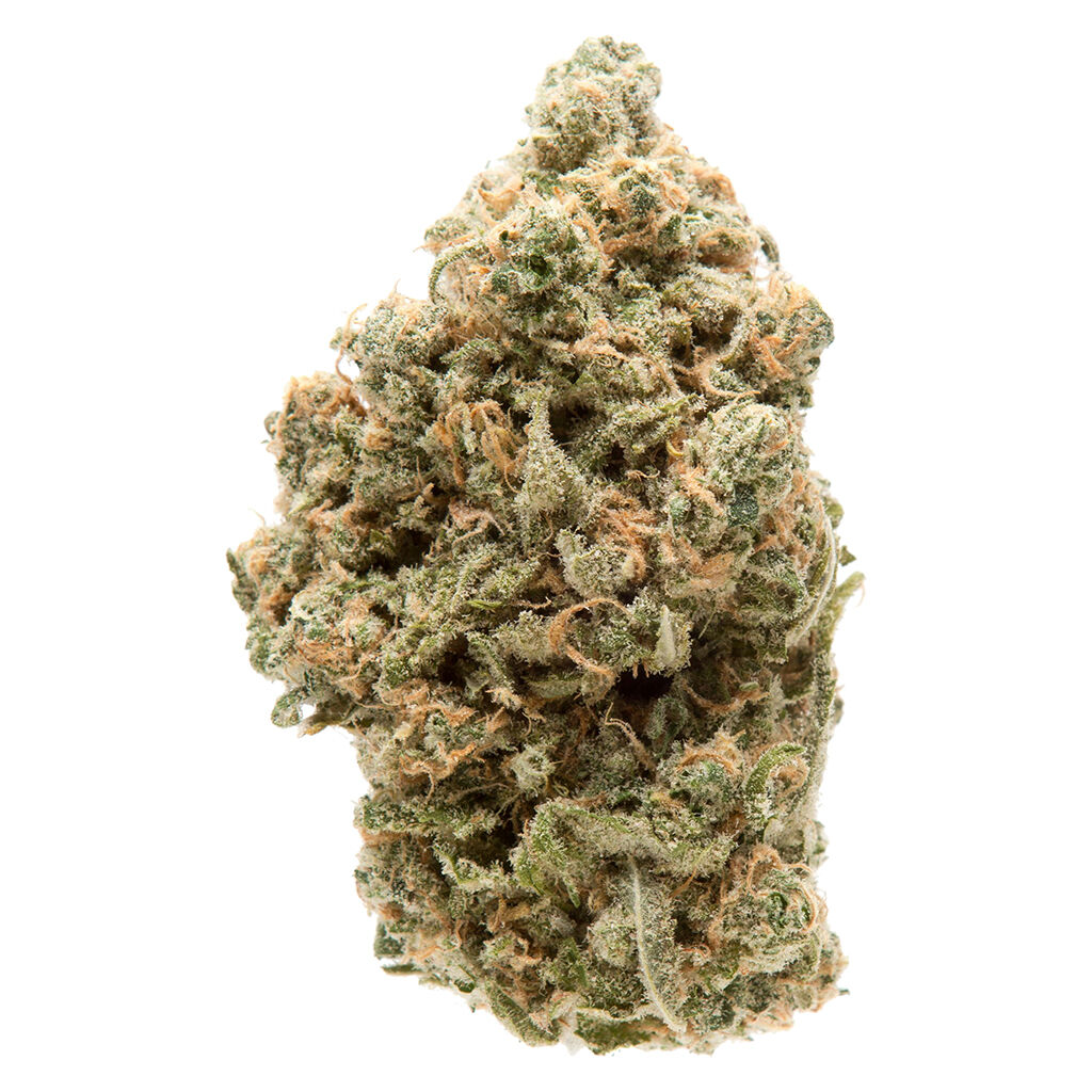 Khushi - Galub Jamun - Indica
