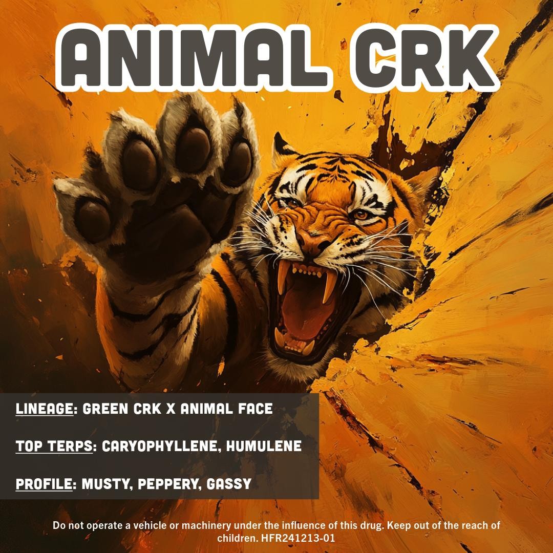 Hillfire Animal Crk