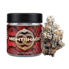 Nightshade - Connected - Premium Indoor Large Bud Flower