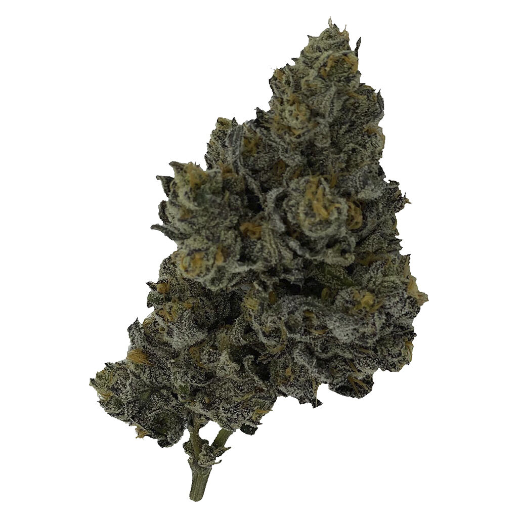 Rocket Factory - Exotic Matter - Hybrid - 7g