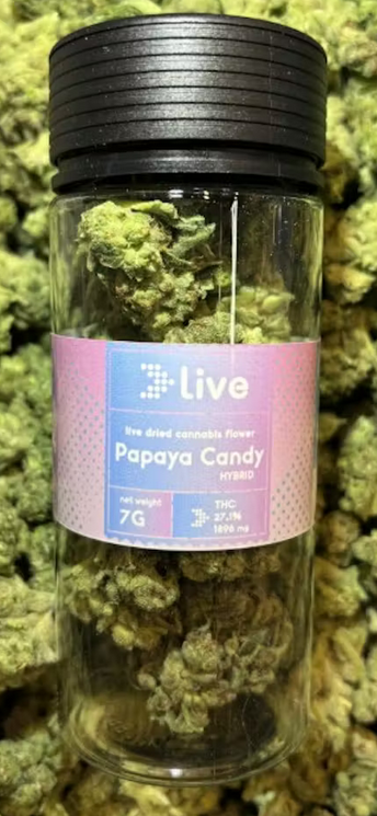 Live: Papaya Candy