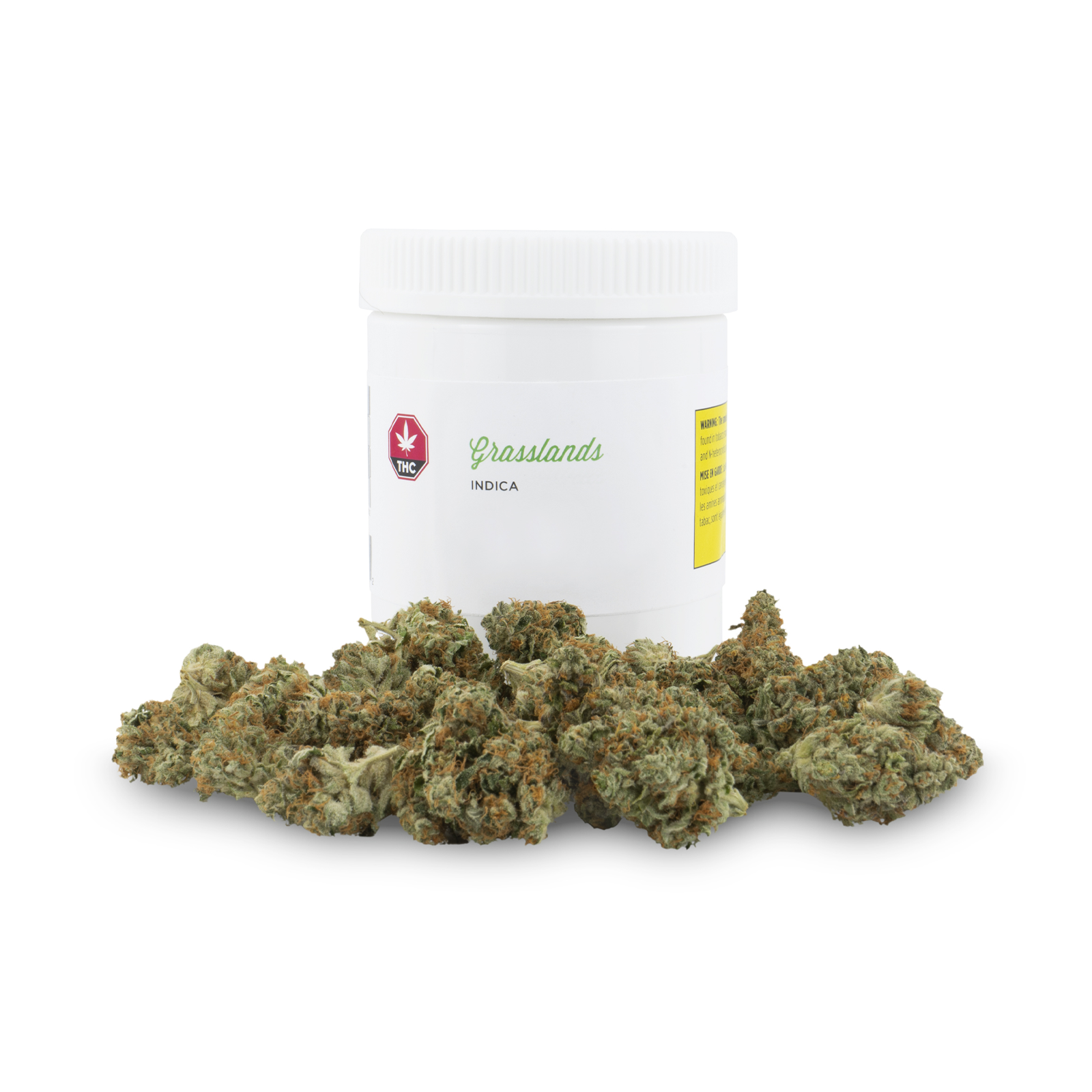 Indica