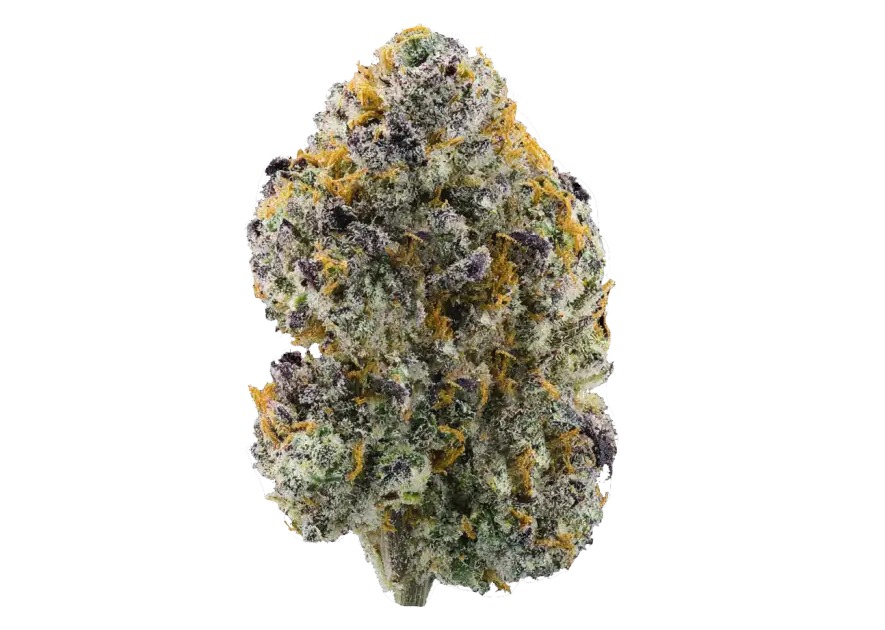 Altsol Permanent Marker Bx Bulk