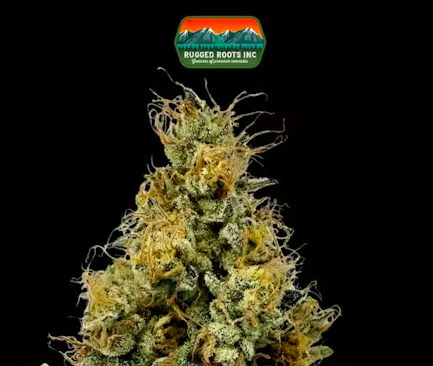RuggedRoots - Khalifa Kush - 1g - I