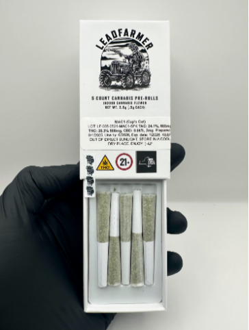 Mac1 Cap Cut Craft Indoor