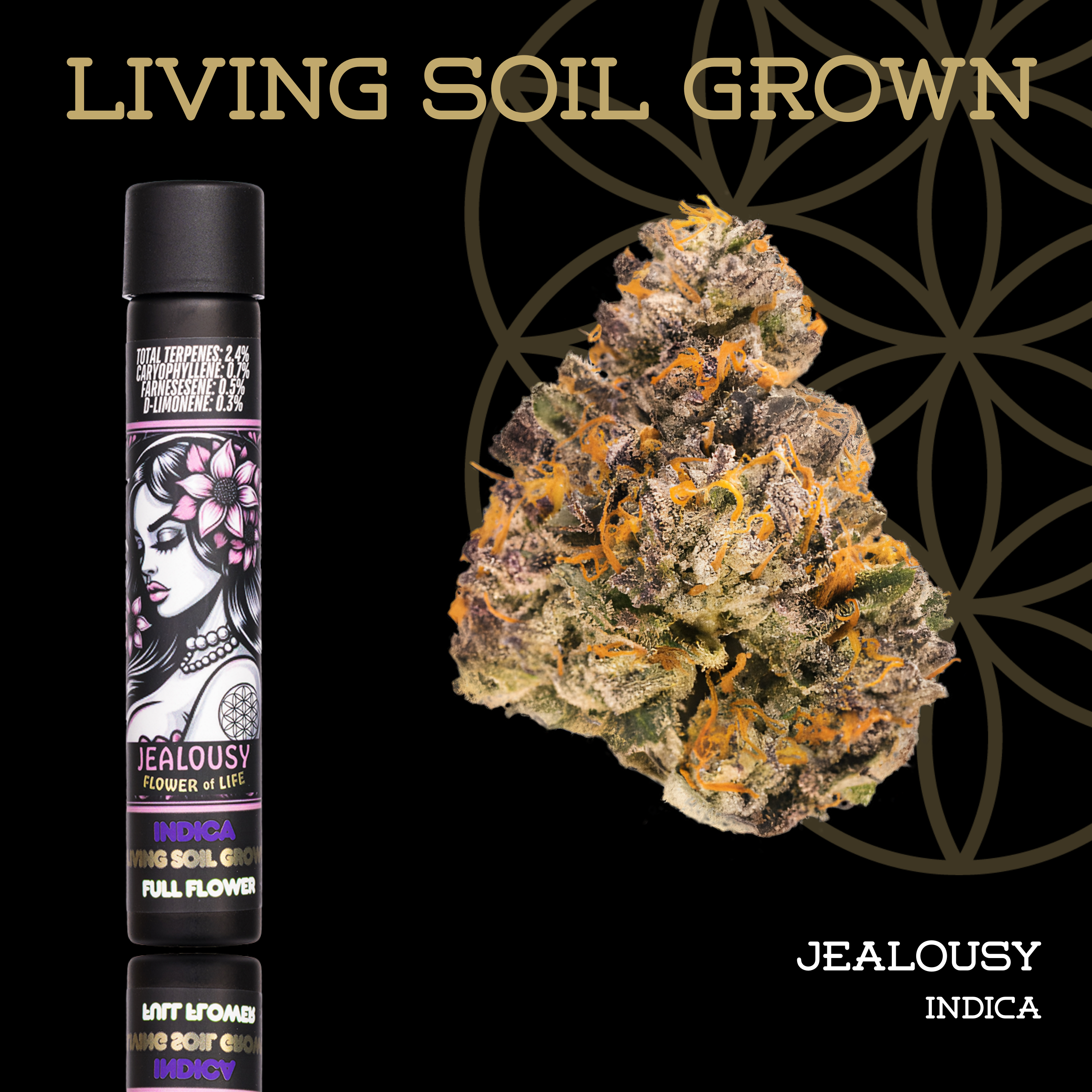 Living Soil | Jealousy | Pre-Roll | 1g