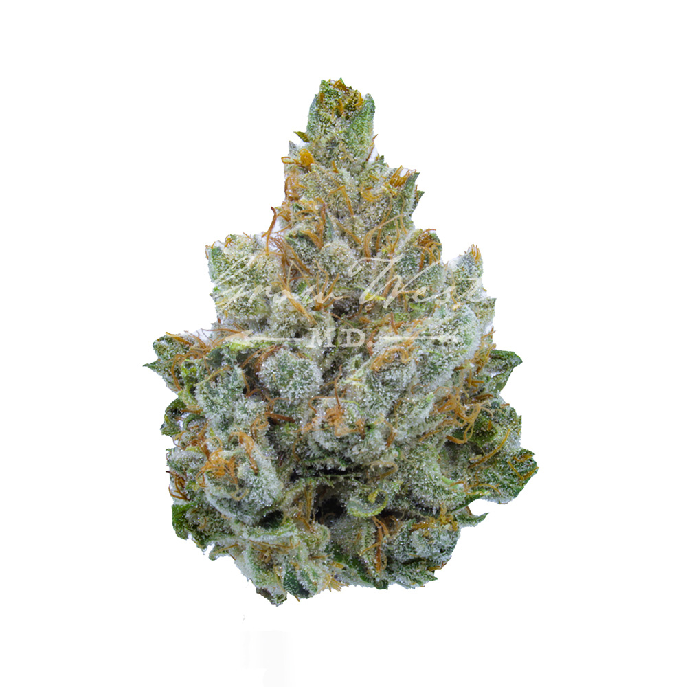 Miami Heat | Reserve | Hand-Trimmed Flower