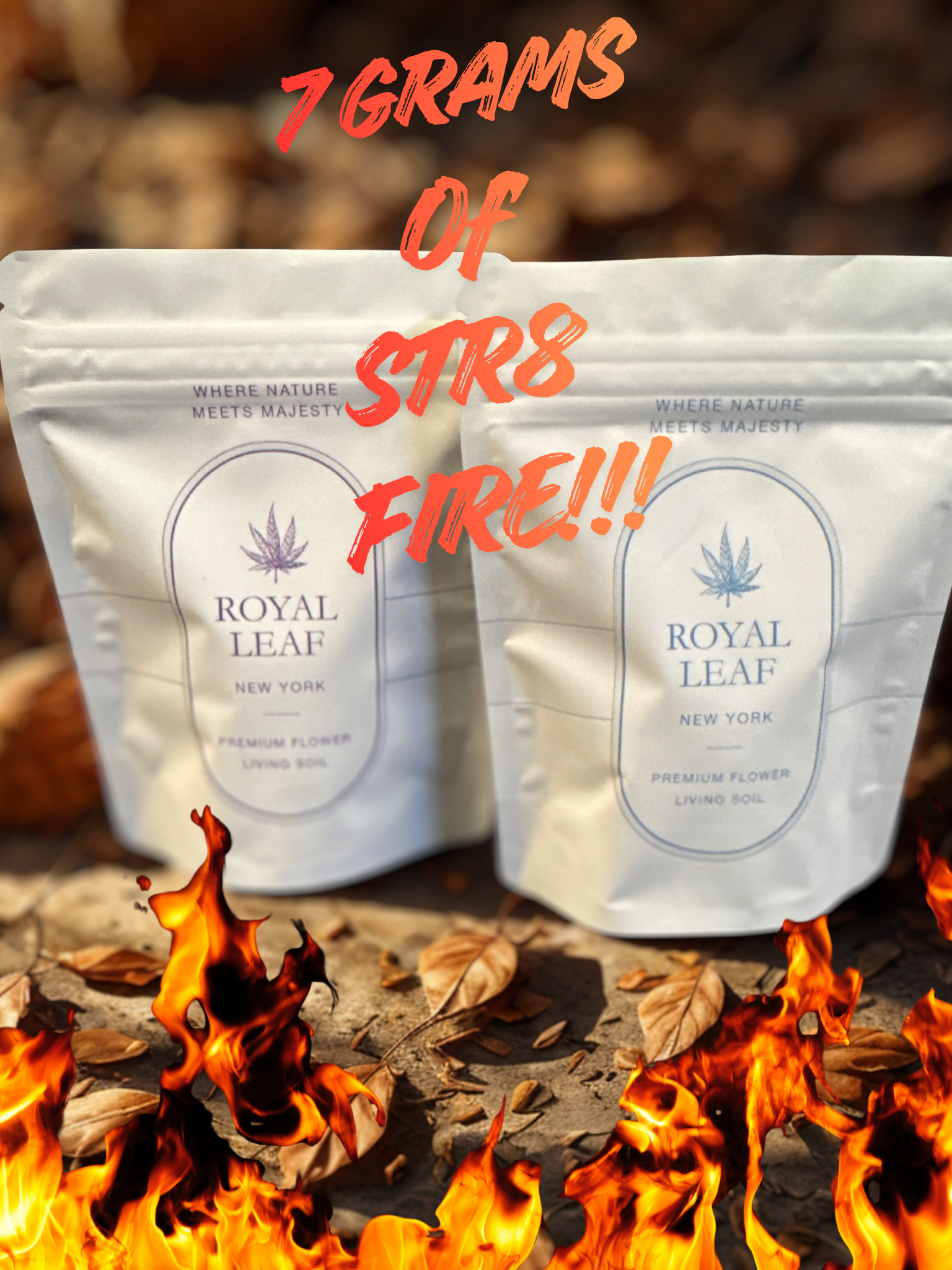 Sun Grown Living Soil Flower