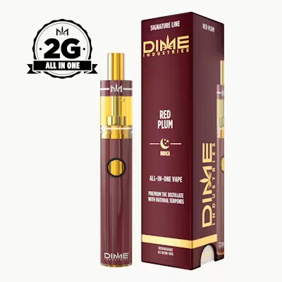 2G Dime Industries Disposable - Red Plum