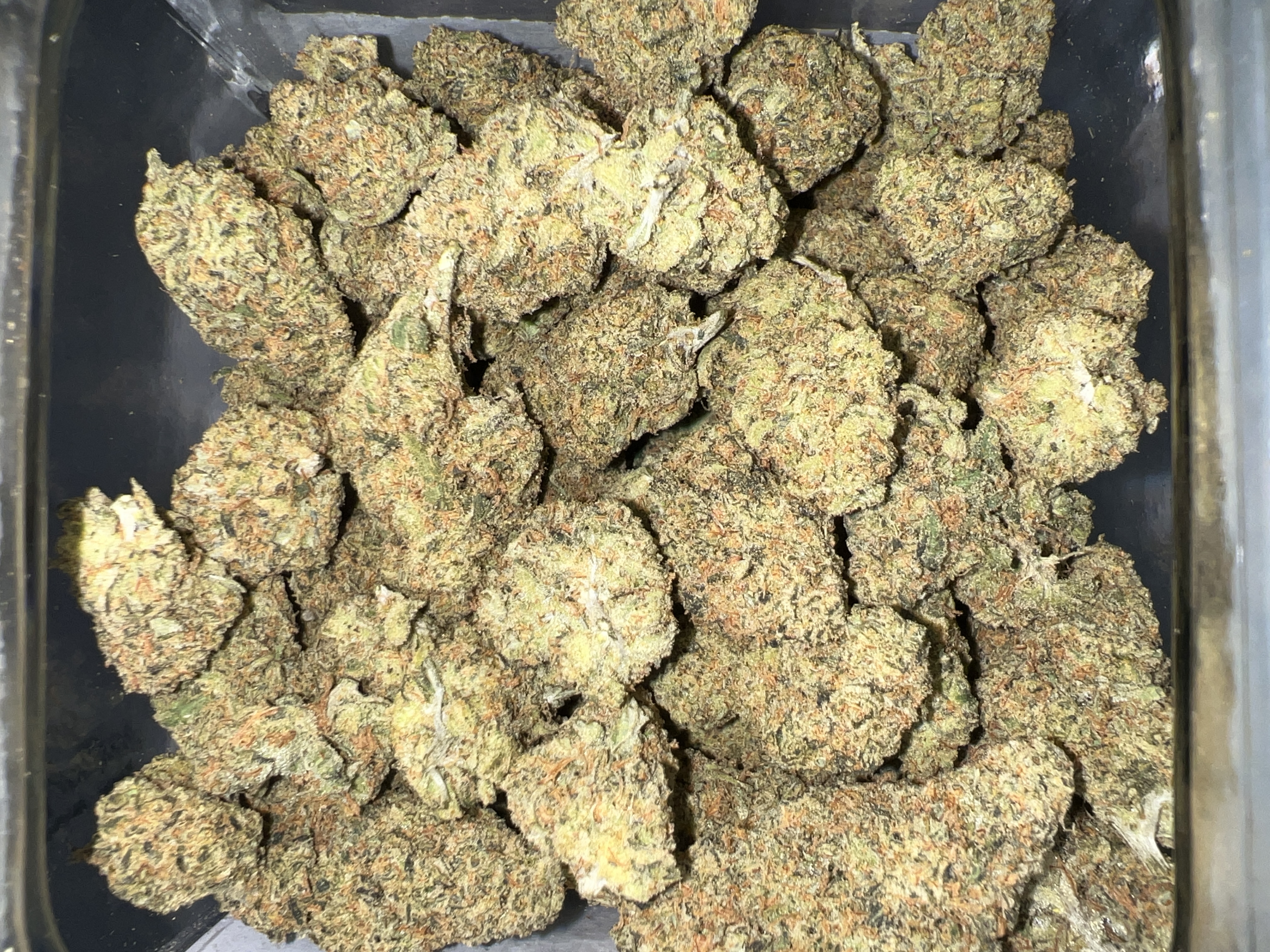 Love Life Haze Mid Shelf