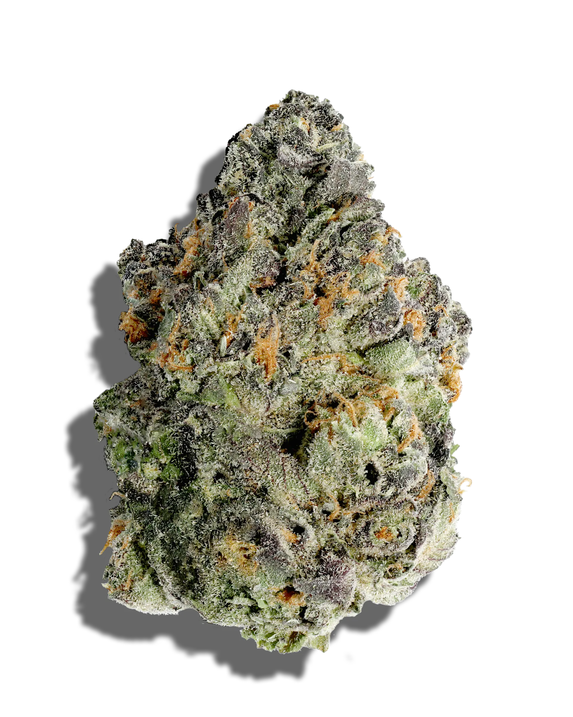 Glorious Cannabis | Infinity Linx | DELI
