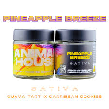 Animal House - Pineapple Breeze - 3.5g